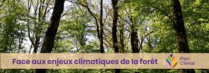 cycle de conférence sur la thème de la forêt face aux enjeux climatiques